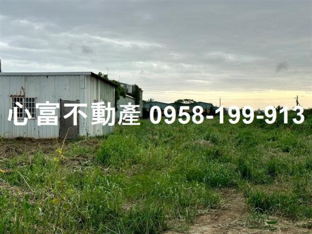 阿蓮農地-1