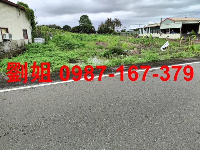 高雄阿蓮農地-3