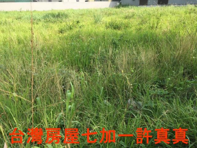 高雄仁武建地-1