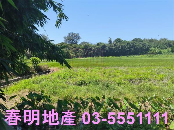 新竹竹北農地-2
