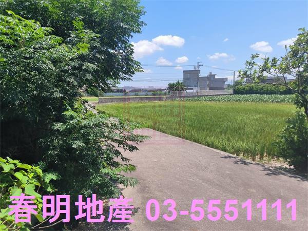 新竹竹北農地-3