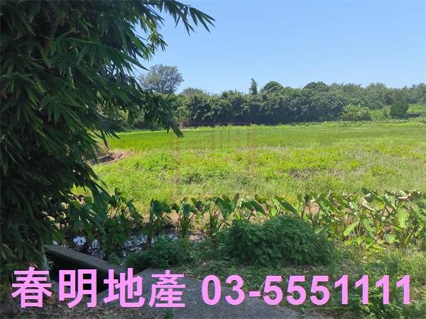 新竹竹北農地-4