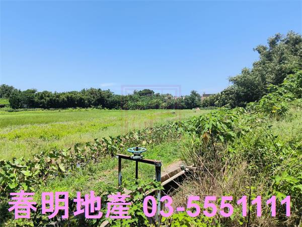 新竹竹北農地-5