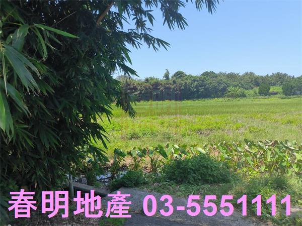 新竹竹北農地-6