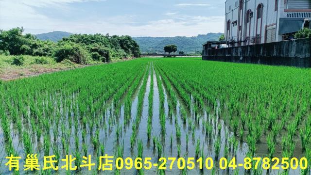 彰化田中農地-1