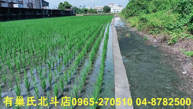 彰化田中農地-3