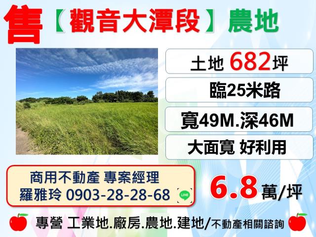 桃園觀音農地-1