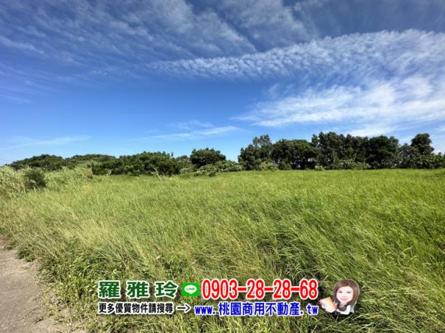 桃園觀音農地-2