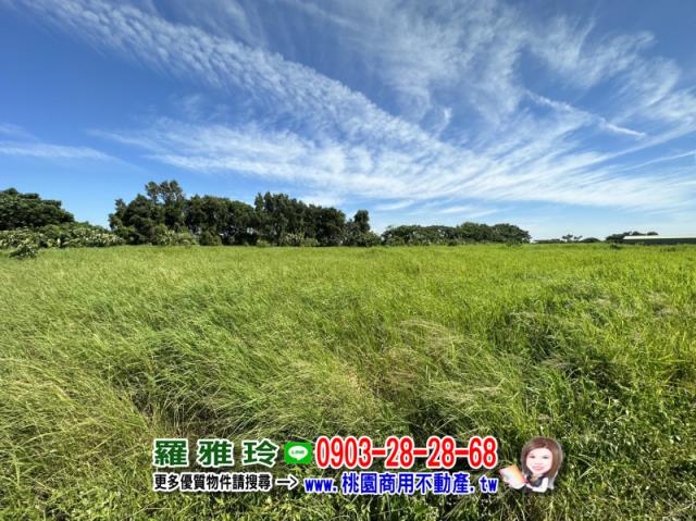 桃園觀音農地-3