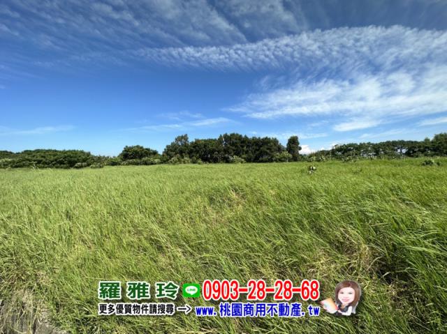 桃園觀音農地-5