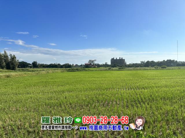 桃園觀音農地-3