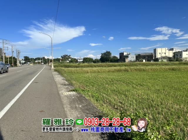 桃園觀音農地-4