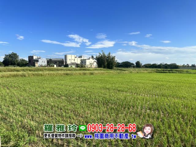 桃園觀音農地-5