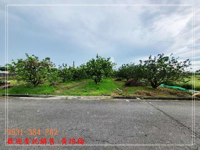 黃培倫的店鋪