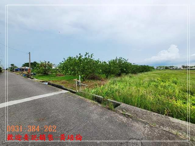 591黃培倫