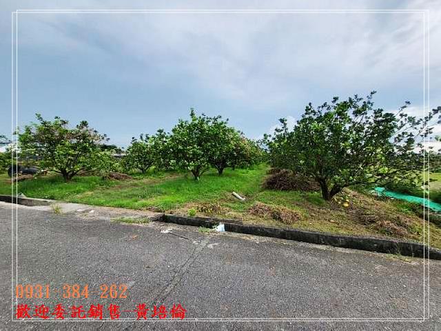 0931384262