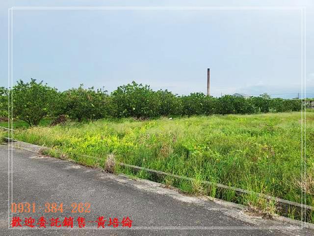 黃培倫的店鋪