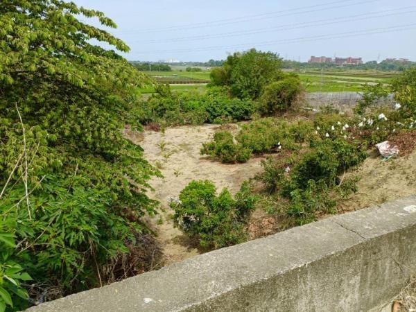 高雄農地-2