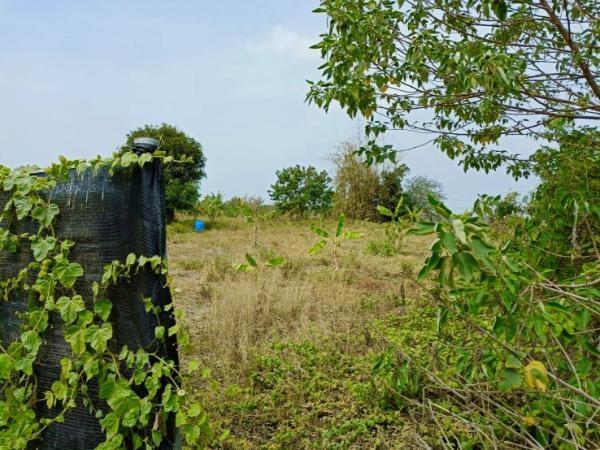 高雄農地-4