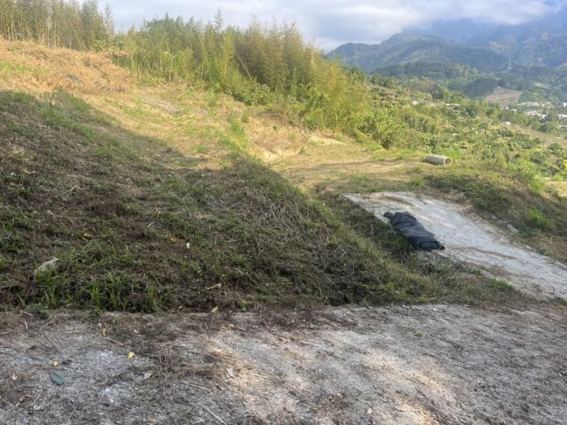 台中山坡地-2