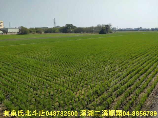 彰化埤頭農地-2