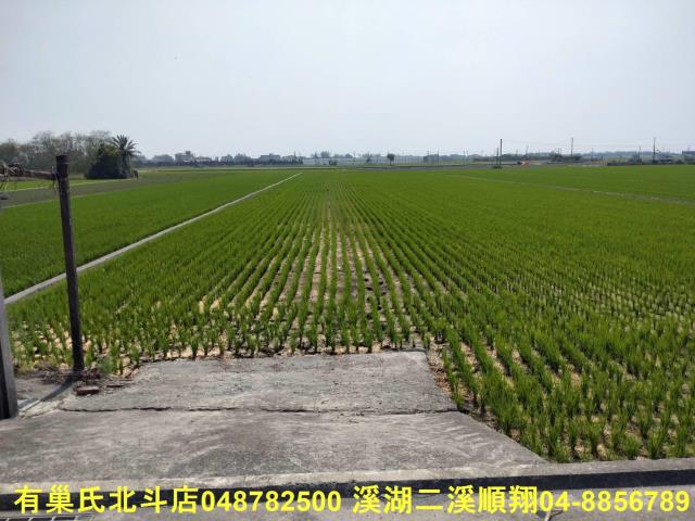 彰化埤頭農地-7