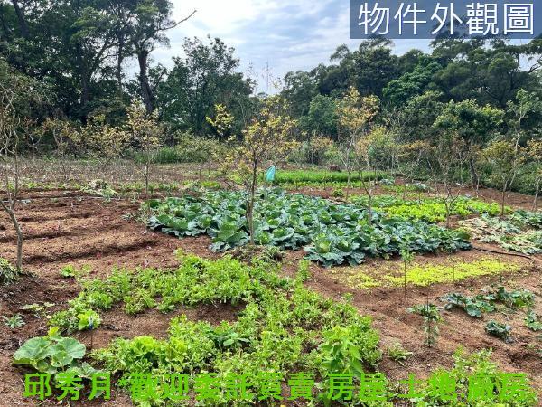 新北淡水農地-6