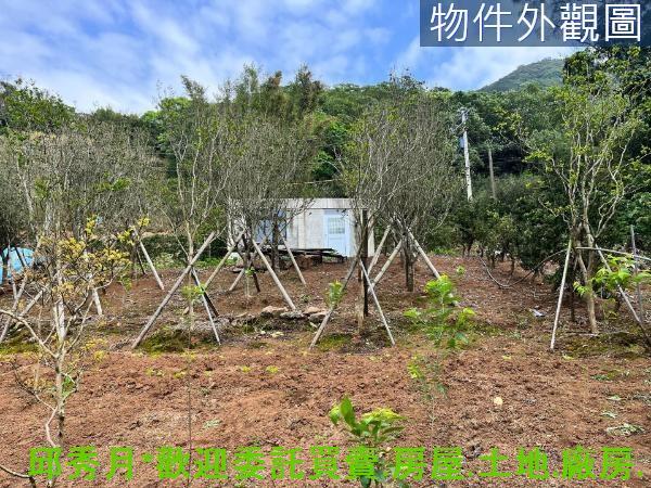 新北淡水農地-7