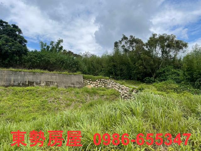 台中東勢農地-9