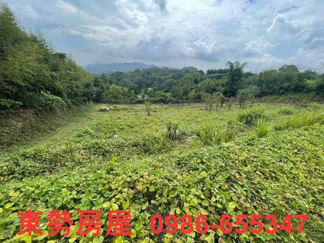 台中東勢農地-2