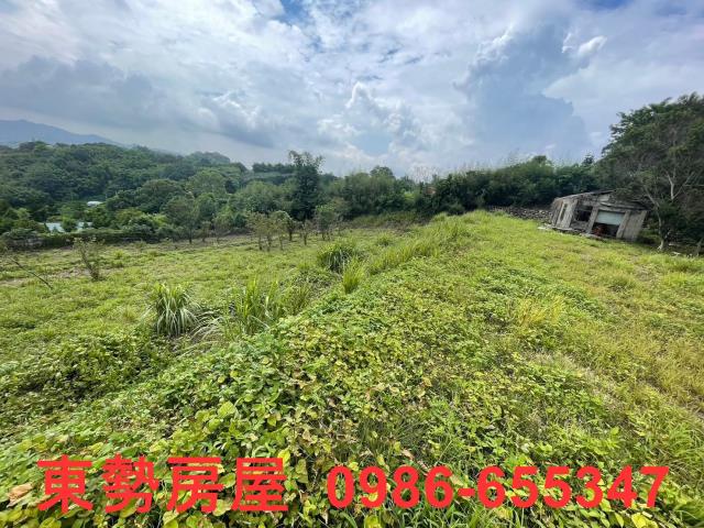 台中東勢農地-3