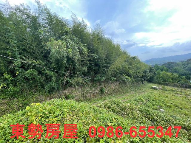 台中東勢農地-5