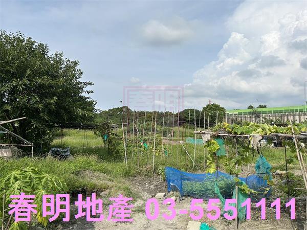 新竹東區農地-4