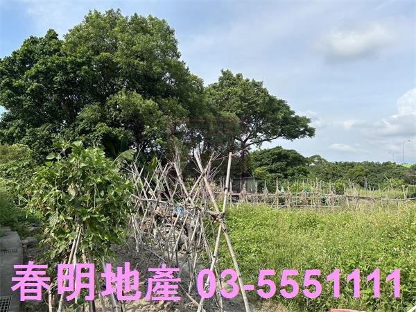 新竹東區農地-5
