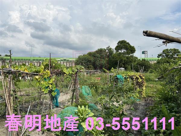 新竹東區農地-6