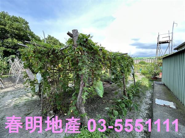 新竹東區農地-7