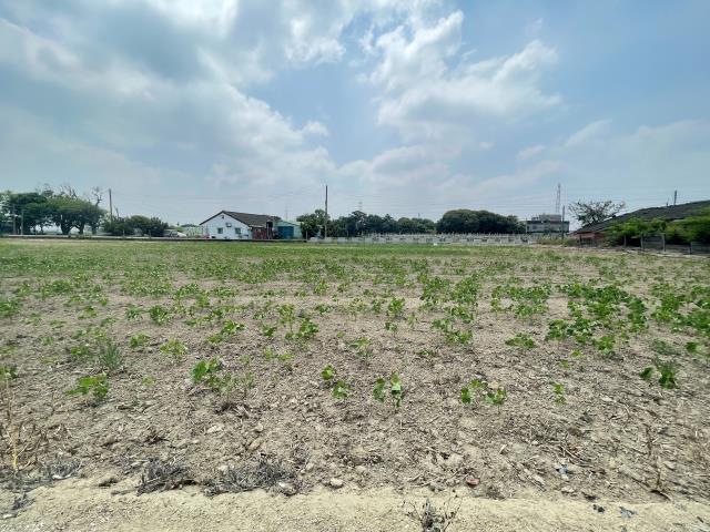 民雄農地-2