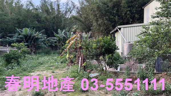新竹香山農地-2