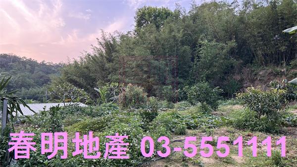 新竹香山農地-6