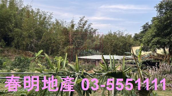 新竹香山農地-7