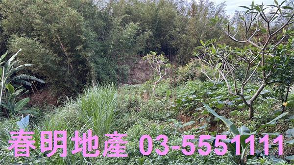 新竹香山農地-8