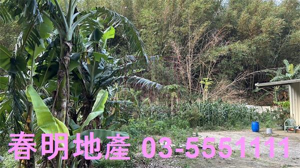 新竹香山農地-9