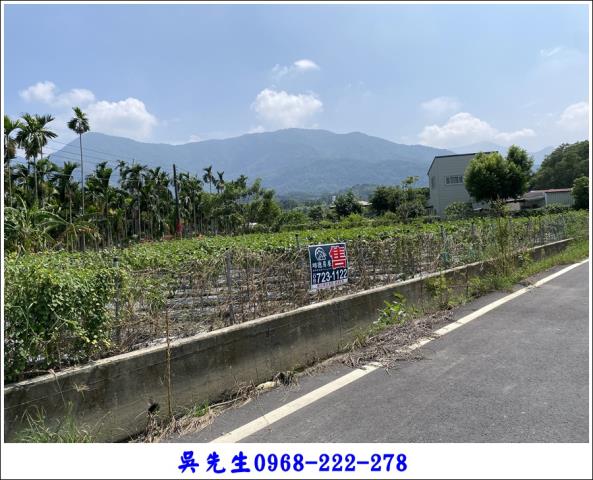 屏東高樹農地-2