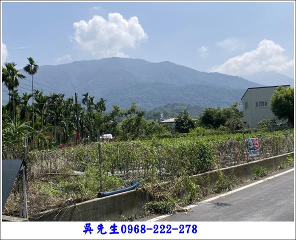 屏東高樹農地-4