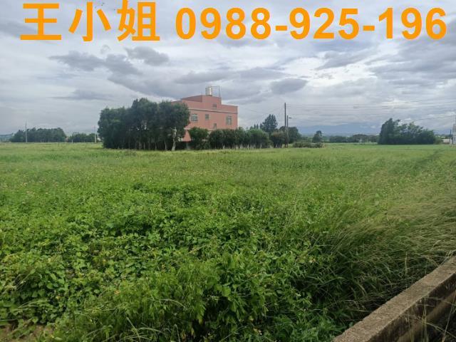 桃園新屋農地-12