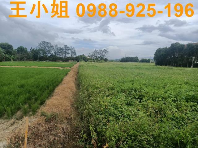 桃園新屋農地-14