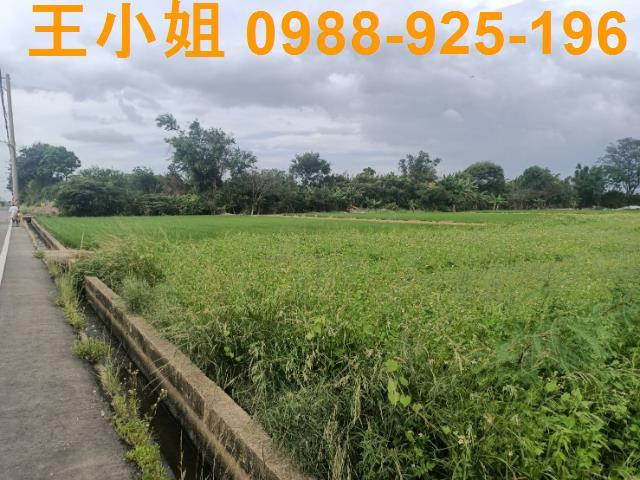 桃園新屋農地-7
