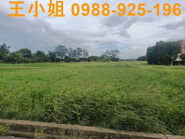 桃園新屋農地-9