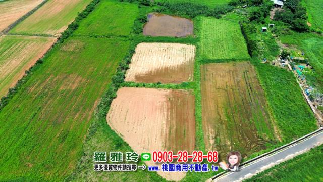 觀音農地-2