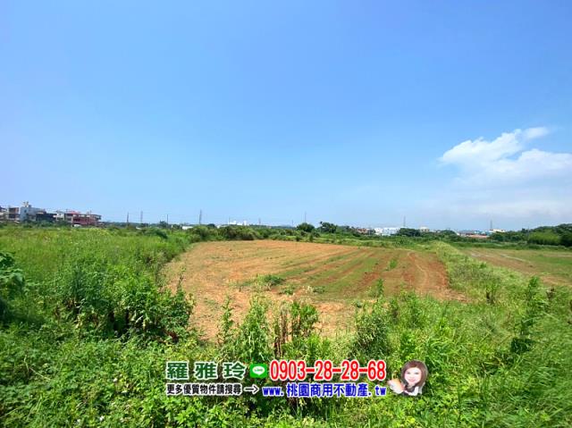 觀音農地-6